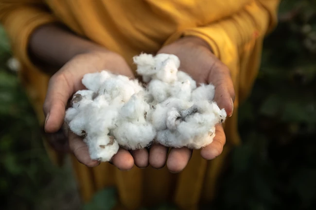 Η Pepco συμμετέχει στην πρωτοβουλία Better Cotton δίνοντας ένα ηχηρό μήνυμα βιωσιμότητας για την προστασία του περιβάλλοντος