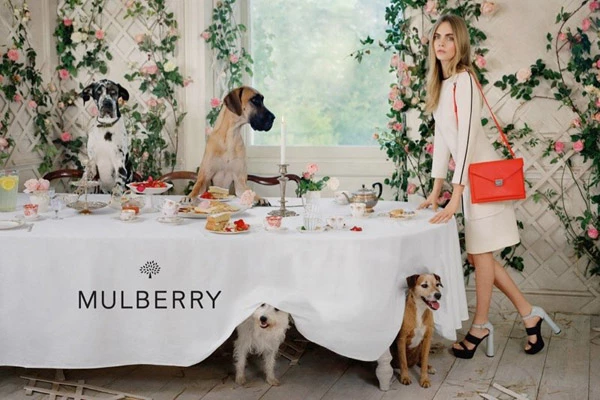 Cara Delevingne: Είναι ξανά το πρόσωπο του οίκου Mulberry - εικόνα 2