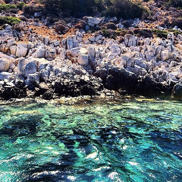 Το καλοκαίρι του Νίκου Αλιάγα  - εικόνα 2